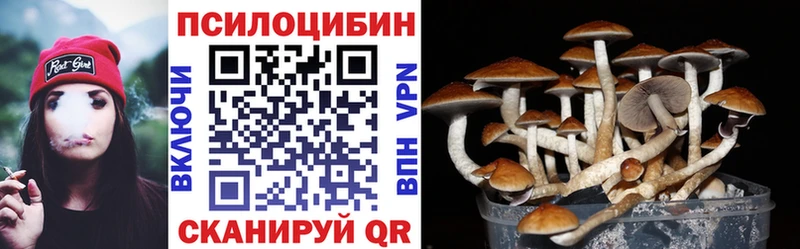 Купить закладки Зерноград Галлюциногенные грибы GOLDEN TEACHER